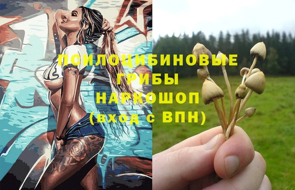 прущие грибы Цивильск