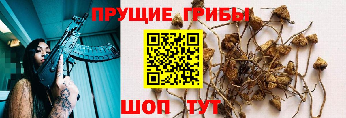 Псилоцибиновые грибы MAGIC MUSHROOMS  Вход с VPN  Аша 